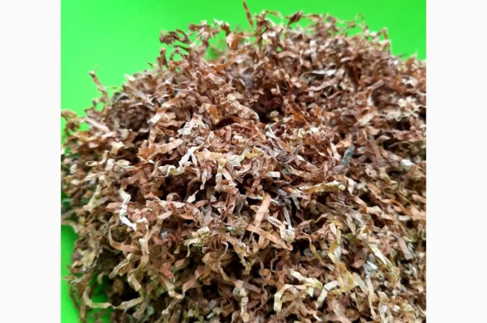 Вирджиния Голд, Вирджиния, Берли.СУПЕР КАЧЕСТВО- фото № 8