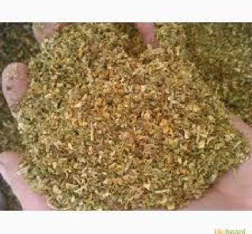 Куплю Махорку зелену  для  самокруток, а також табак пластівцями- фото № 1