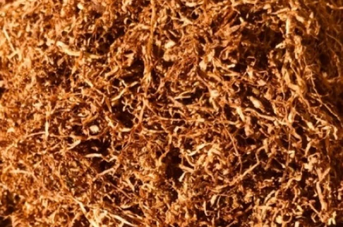 Куплю табак різаний- фото № 1