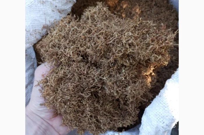 Куплю Табак Махорку- фото № 1