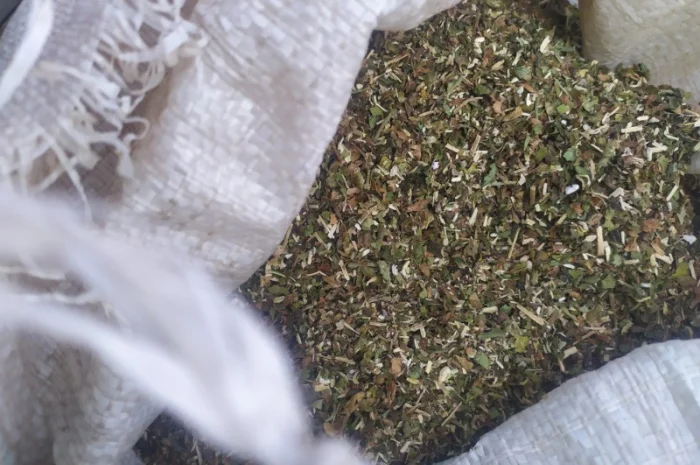 Куплю табак різаний а також Махорку від мішка- фото № 1