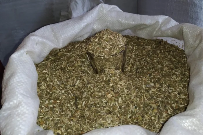 Куплю махорочку, а також різаний- фото № 1