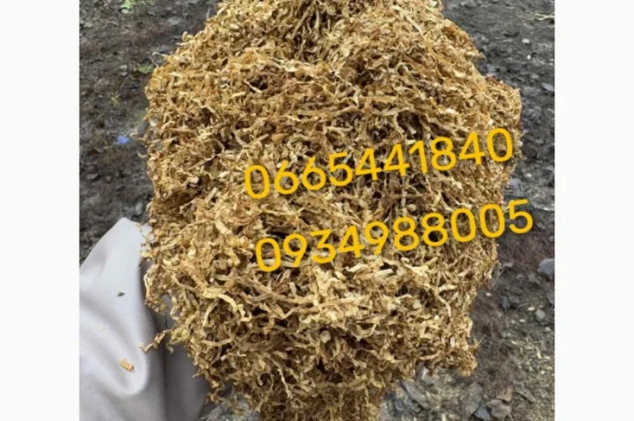 Якісний Парламент Голд Берлі Вірджинія Руно Вінстон Кемел Мальбро Гавана Є ОПТ- фото № 9