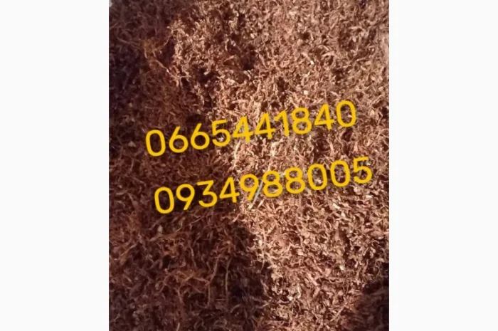 Якісний Парламент Голд Берлі Вірджинія Руно Вінстон Кемел Мальбро Гавана Є ОПТ- фото № 10