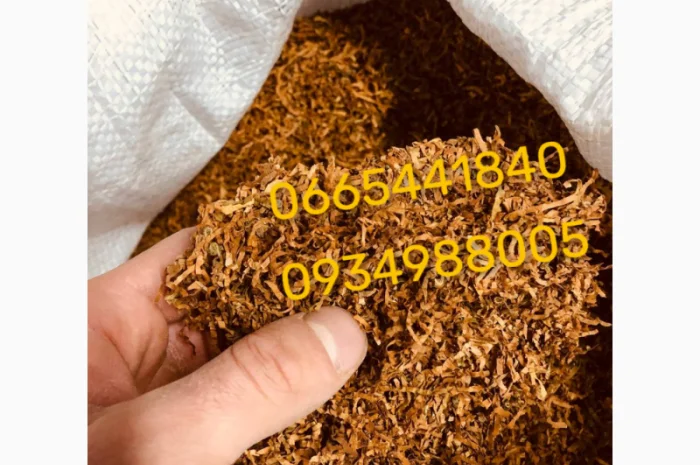 Качественный Парламент Голд Берли Вирджиния Руно Винстон Кемел Мальбро Гавана Есть ОПТ- фото № 12