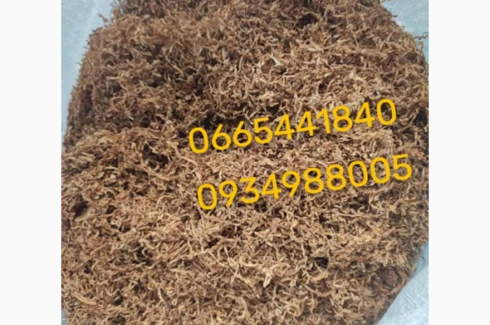 Якісний Парламент Голд Берлі Вірджинія Руно Вінстон Кемел Мальбро Гавана Є ОПТ- фото № 12