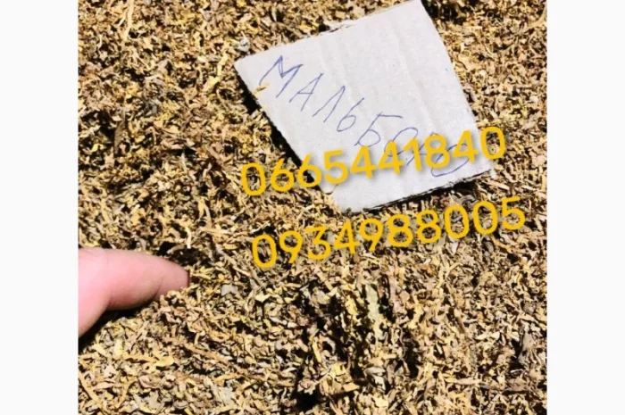 Якісний Парламент Голд Берлі Вірджинія Руно Вінстон Кемел Мальбро Гавана Є ОПТ- фото № 3