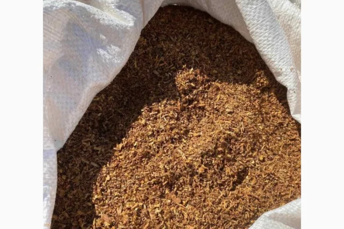 Недорого Вирджиния- фото № 17