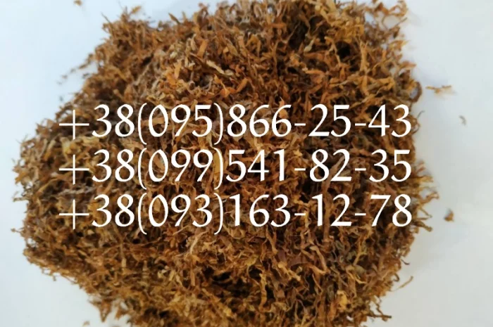 ТАБАК легкой крепости, фабрика- фото № 2