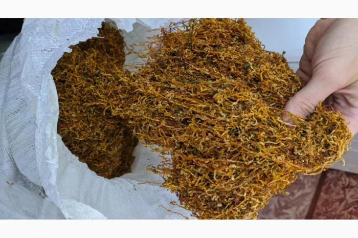 Вірджінія Голд. Берлі. Мальборо. Кемел Вінстон- фото № 1