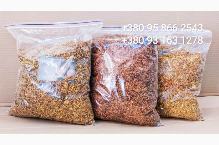 Вірджінія Голд. Берлі. Мальборо. Кемел Вінстон- фото № 5