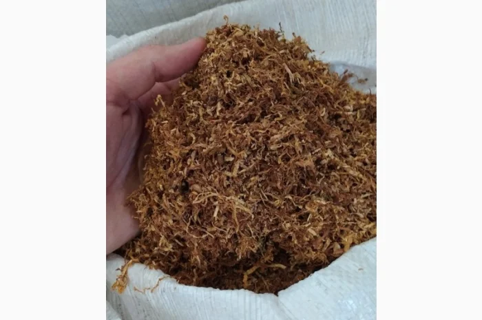 Вирджиния Голд, Дюбек, Вирджиния Берли- фото № 2