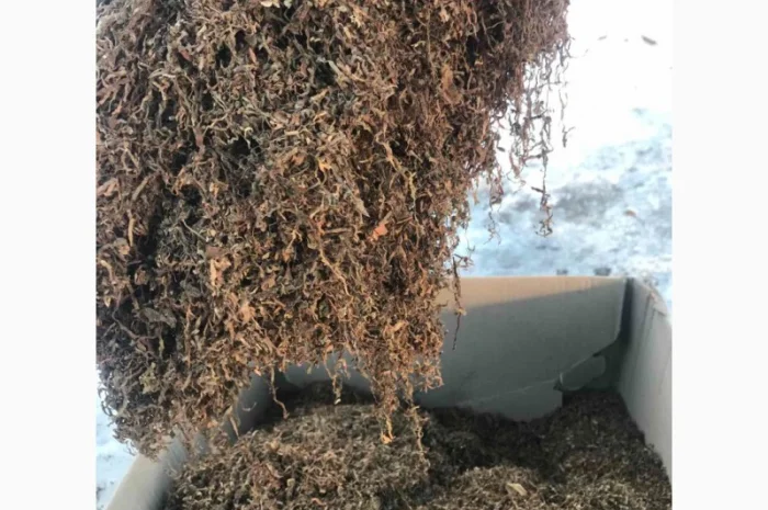 ТЮТЮН !!! Продається тютюн- фото № 2