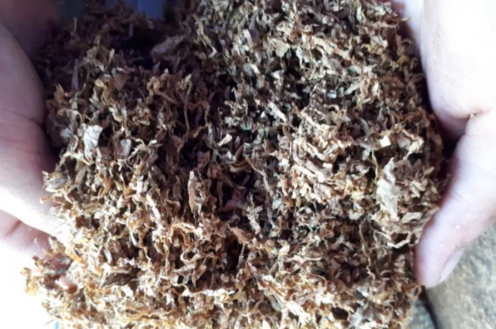 Табак в очень хорошем качестве- фото № 3