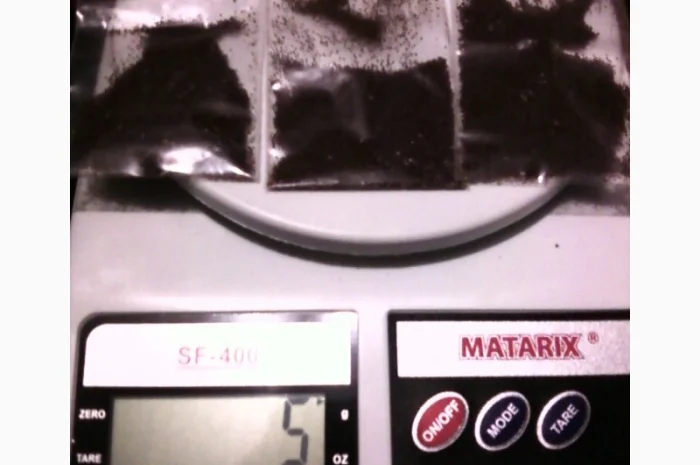 НАСІННЯ ТЮТЮНУ 11-ти поп сортів-Берлі38-46, Ксанті, ГаванаZ992, Махорка, Вірджинія, Герцегов- фото № 5