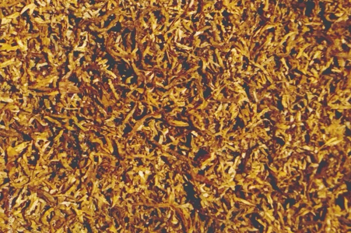 Продам якісний Німецький тютюн Вірджинія HYV 35 (гібридна) для сигарет 1 кг- фото № 4