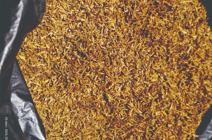 Продам якісний Німецький тютюн Вірджинія HYV 35 (гібридна) для сигарет 1 кг- фото № 5