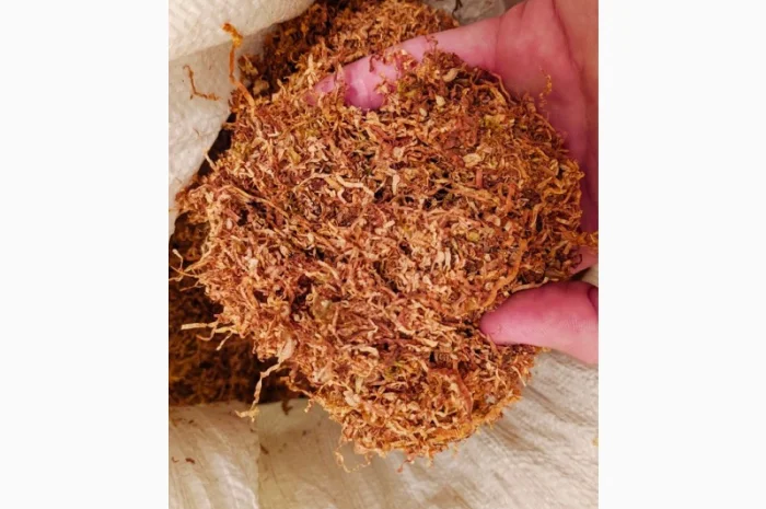 Вирджиния GOLD POLSKA- фото № 1