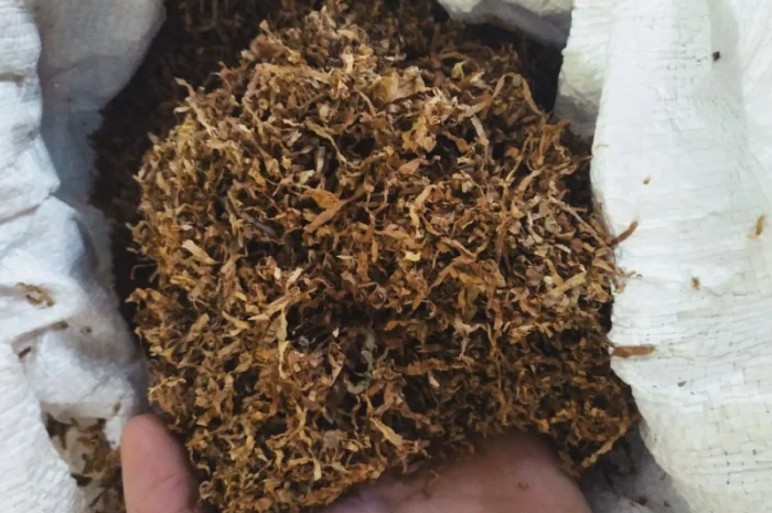 Продам Венгерский табак для трубки- фото № 2