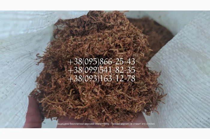 Качественный Табаки для самокруток  по хорошей цене ВИРДЖИНИЯ Берли Махорка- фото № 1