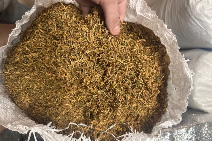 Є великий опт якісного тютюну без палок та вологості- фото № 1