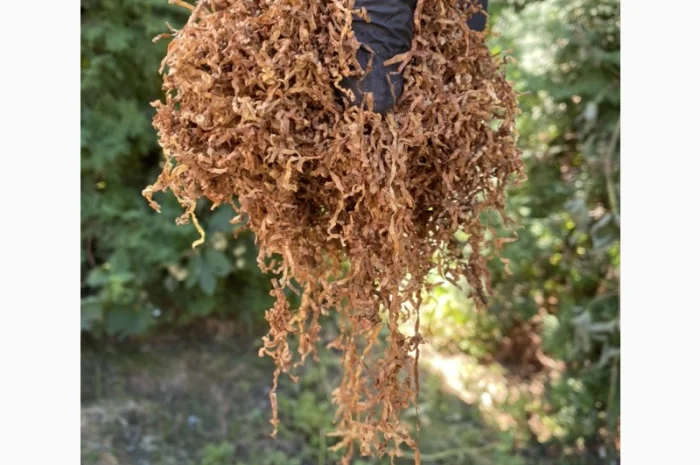 Добрий день!!! Шановні покупці, хочемо запропонувати Вам тільки першосортний тютюн- фото № 6