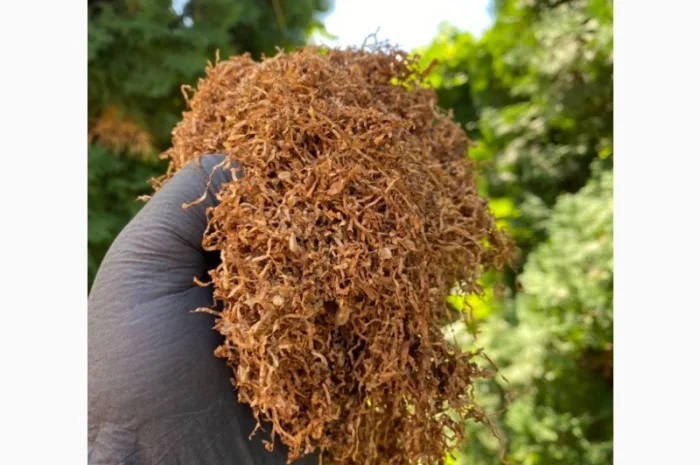 Добрий день!!! Шановні покупці, хочемо запропонувати Вам тільки першосортний тютюн- фото № 13