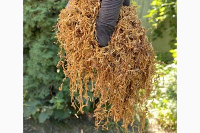 Добрий день!!! Шановні покупці, хочемо запропонувати Вам тільки першосортний тютюн- фото № 15