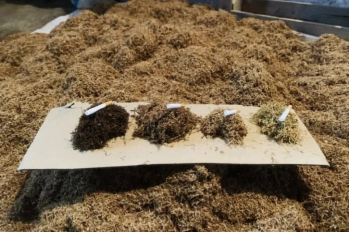 Табак различных сортов в продаже- фото № 17