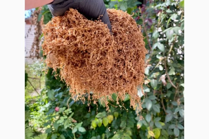 Якісний Імпортний табак! Без пилу і сміття- фото № 5