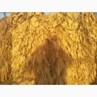 Продам импортный табак Болгария и Турция, лёгкий и средний- фото № 3