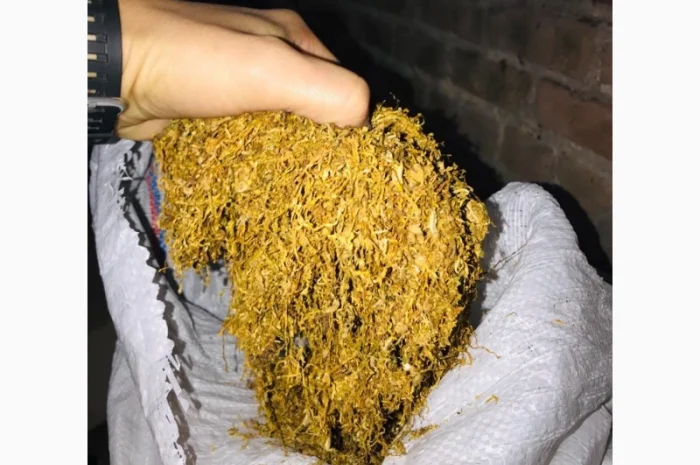 Продам импортный табак Болгария и Турция, лёгкий и средний- фото № 7