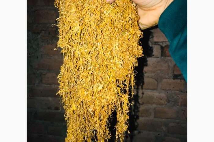 Продам Венгерский крепкий табак ОПТОМ- фото № 5