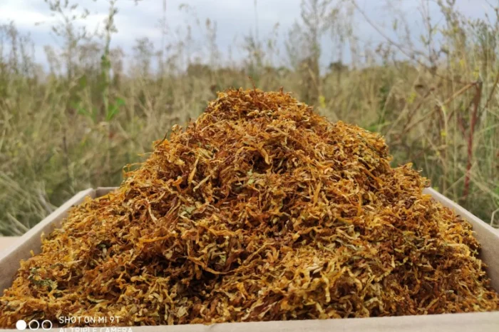 Табак Импортный Вирджиния Голд, золотистий, для сигарет 1 килограмм- фото № 4