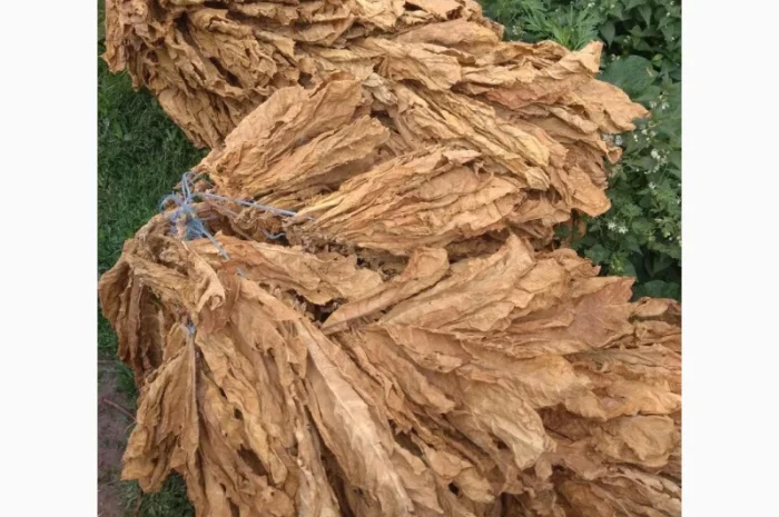 Продам табак для сигарет 1 кг- фото № 2