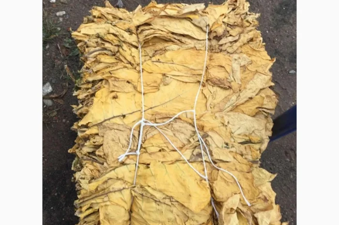 Продам импортный табак  для сигарет 1 кг,  330 грн за кг- фото № 4