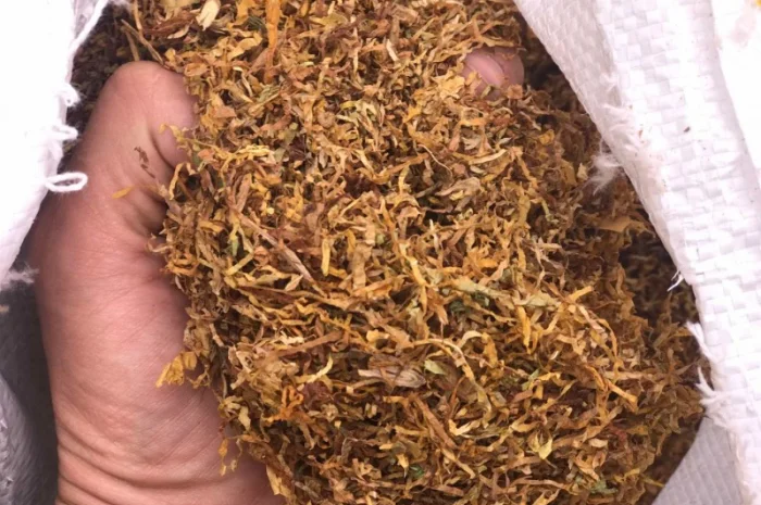 Оптом табак Вирджиния Голд- фото № 7