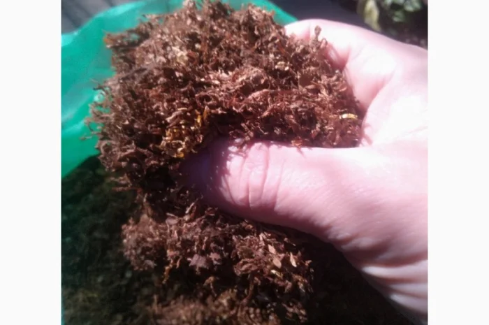 Продам тютюн для сигарет 1 кг, різних сортів- фото № 2