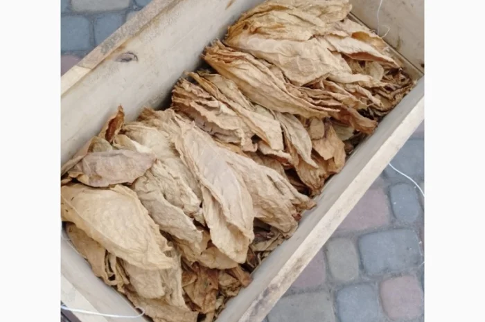 Продам табачний лист сорт Вірджинія, Берли- фото № 3