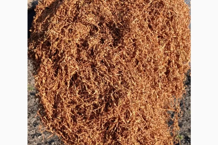 Продам тютюн Берлі середній для трубки- фото № 1