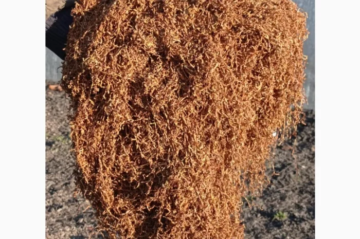 Продам тютюн Берлі середній для трубки- фото № 2