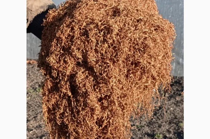 Продам тютюн Берлі середній для трубки- фото № 4