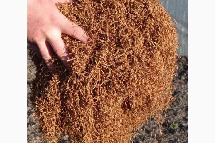 Продам тютюн Берлі середній для трубки- фото № 5