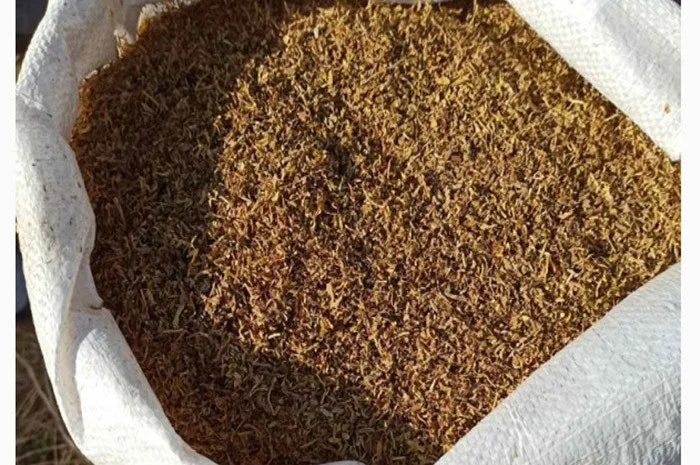 Табак завод  для сигарет 1 кг , 350грн/кг- фото № 6