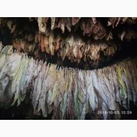 Продам лист тютюну для самокруток- фото № 5