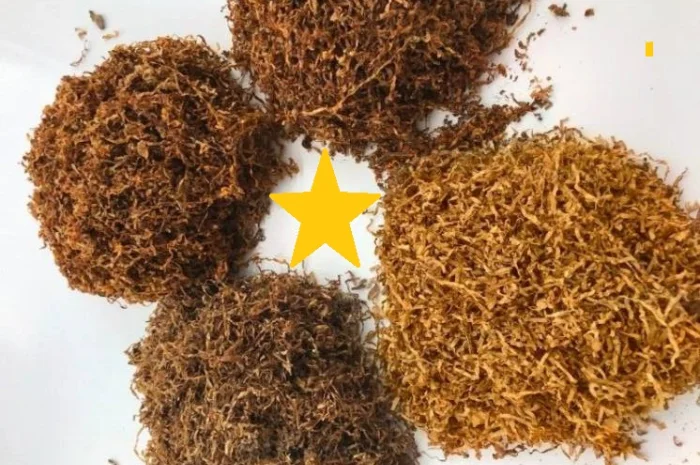 Табак для сигарет 1 кг  і Махорка бакун- фото № 1