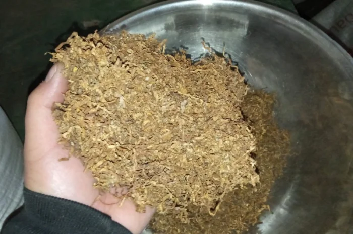 Свіженька курятіна не гірчить Тютюн вірджінія берлі Самосад- фото № 3