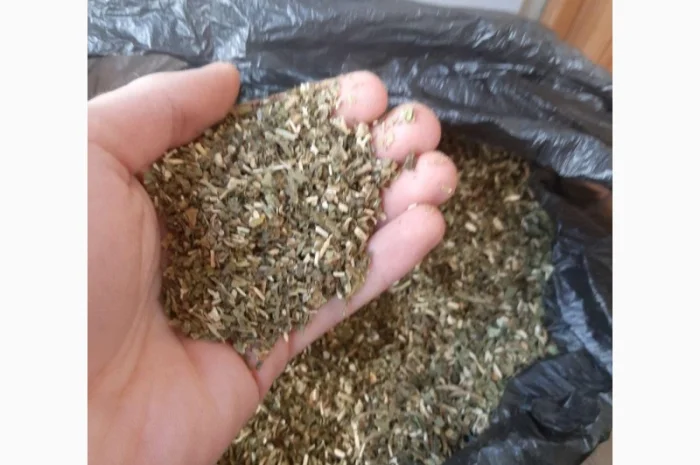 Для куріння Самосад і домашні табаки без пилюки і води- фото № 4