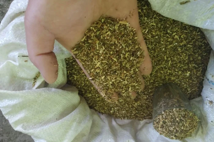 Дюбек Вірджінія домашній ферментований не смирдить не прілий Самосад крепкий дідовський- фото № 2