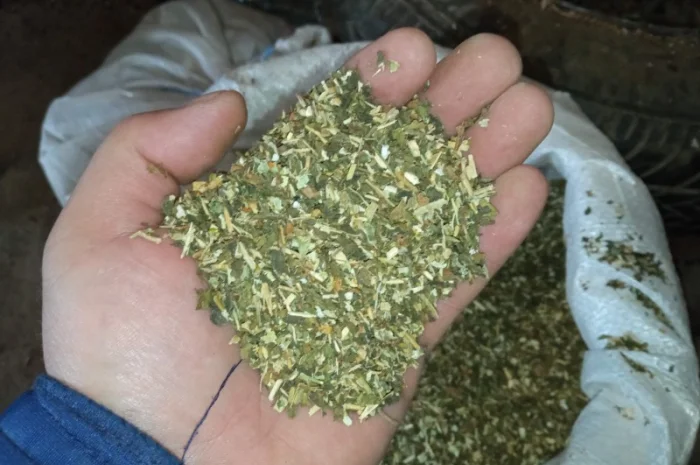 Табак Табацюра табаки для самокруток домашні- фото № 2